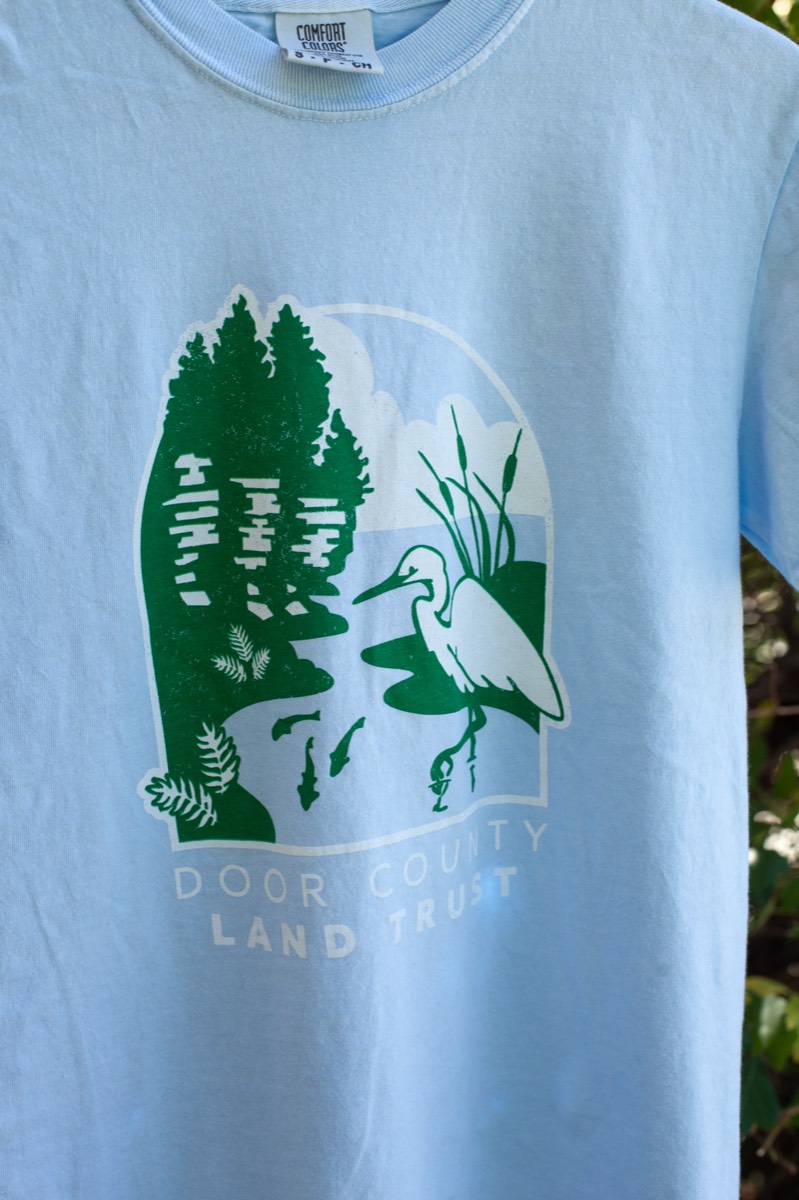 Color Logo Tee