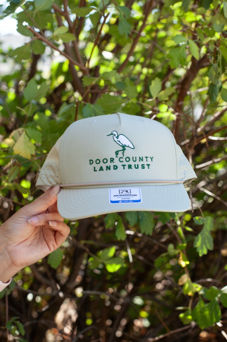 Egret Hat (cream)