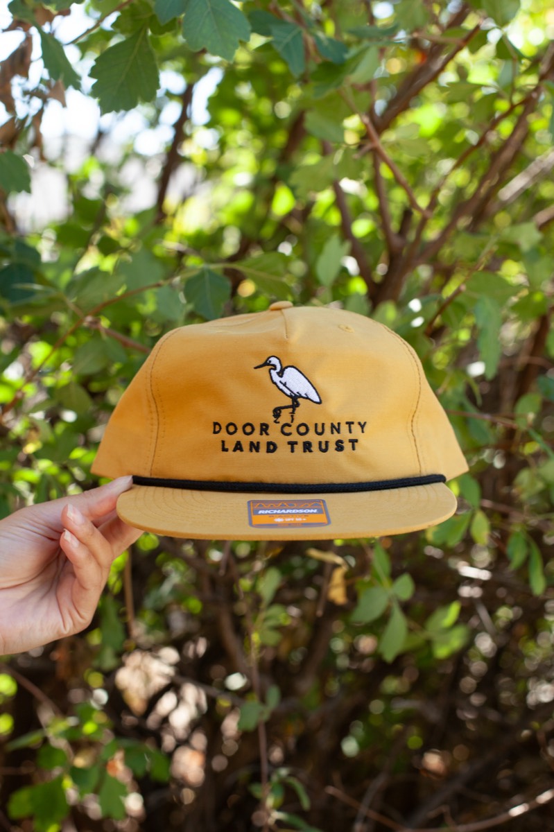 Egret Hat (yellow)