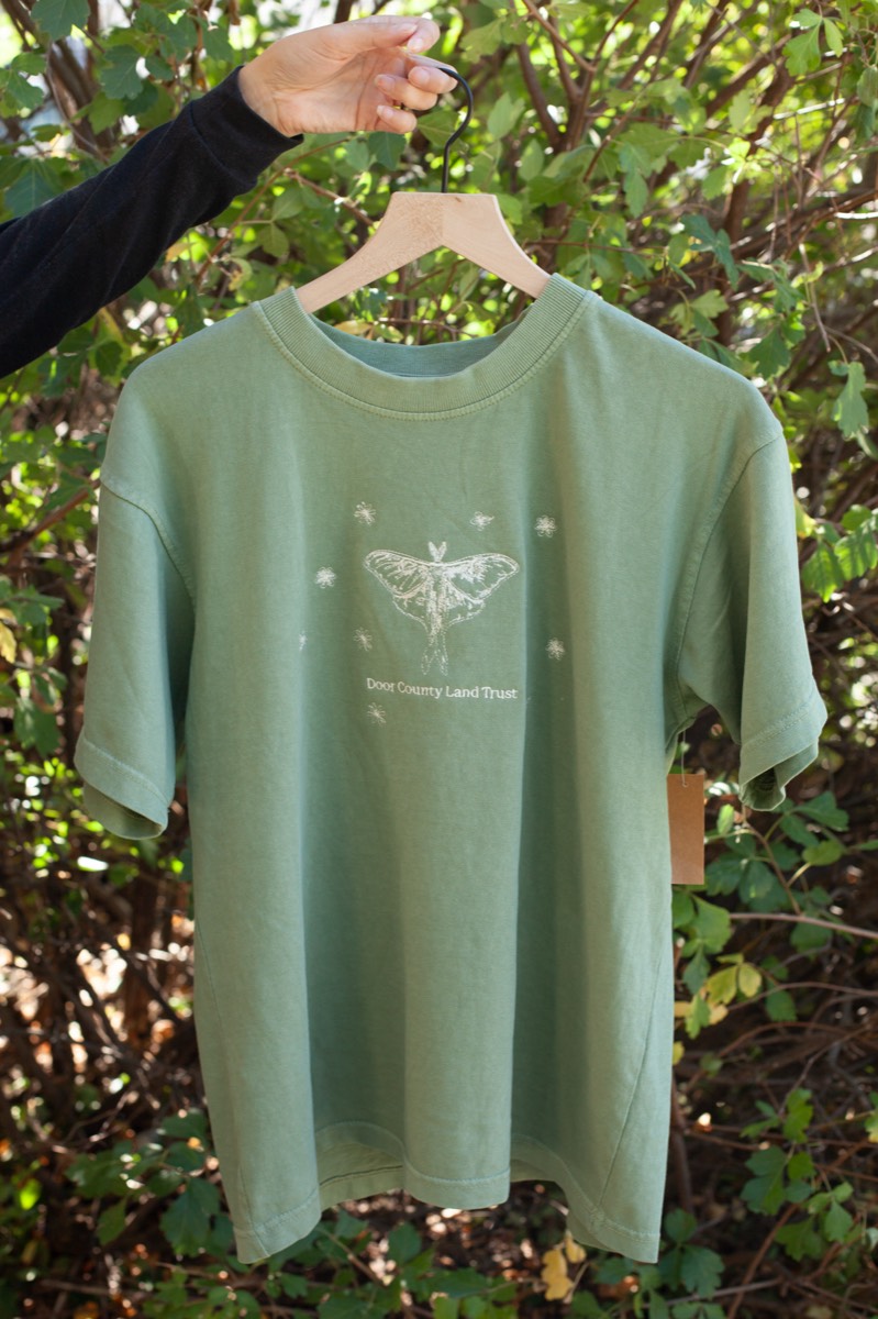 Luna Moth Tee