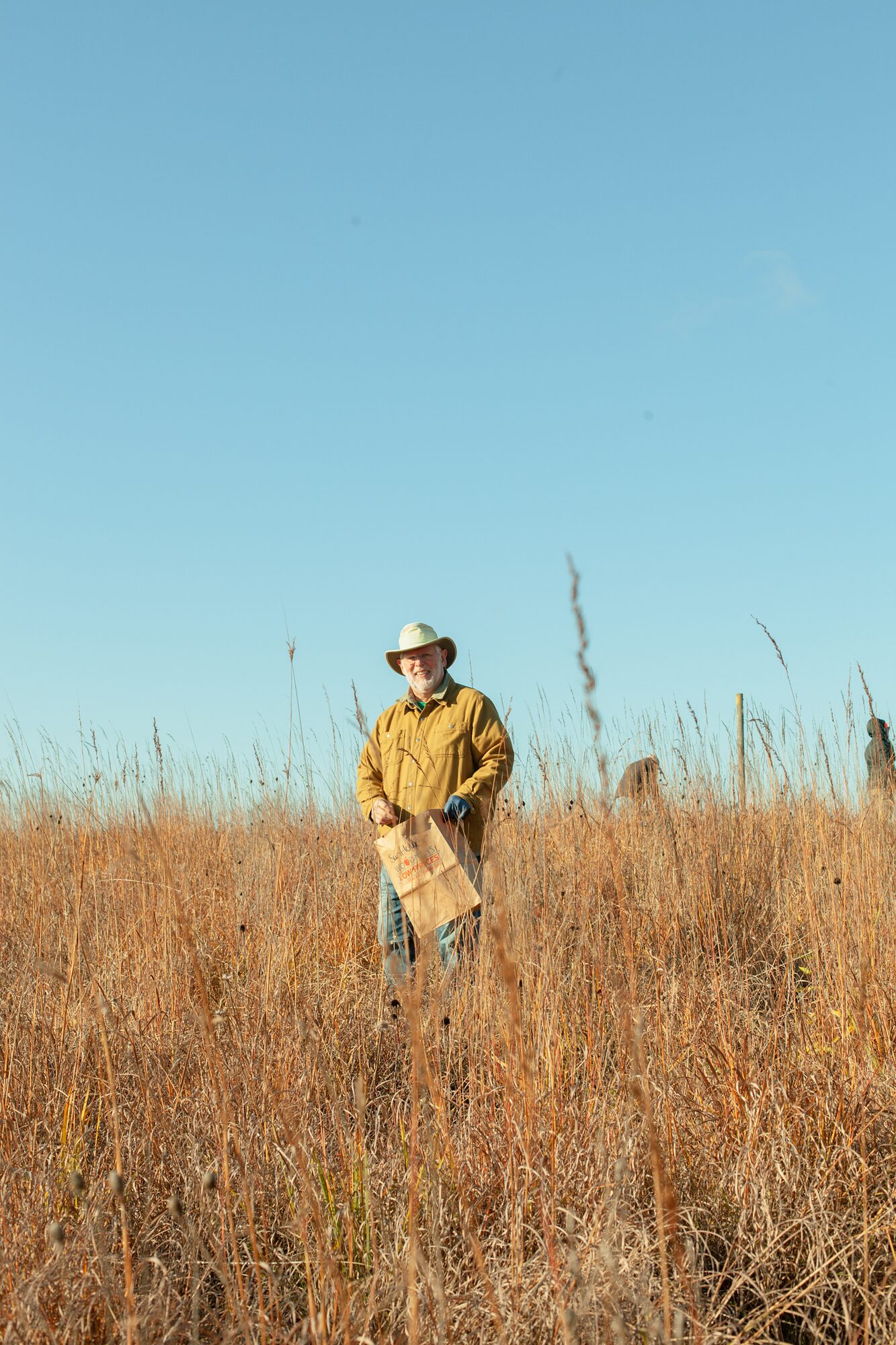 A volunteer collecting native seed in a golden autumn prairie along Oak Road