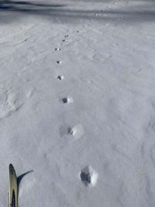 2021 Winter tracking email_Page_02_Image_0002