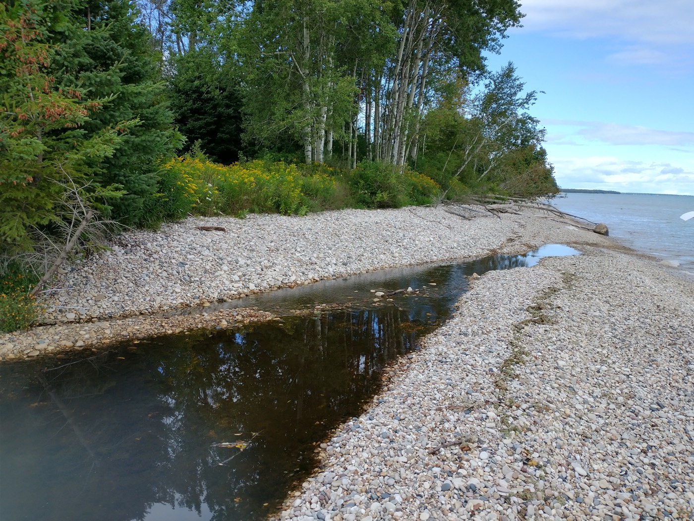 Donated shoreline property at Legacy Nature Preserve at Clay Banks
