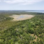 A an aerial view of the unique wetland surrounded by forests and near the lakeshore