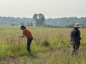 two people waring sun protection hats stand in a flowering field holding phones to photograph observed pollinators