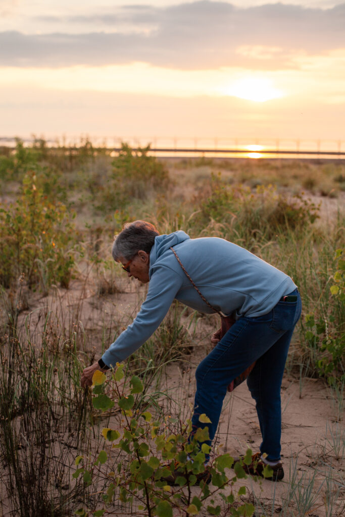 a woman on a beach reaches to observe a plant growing in the sand