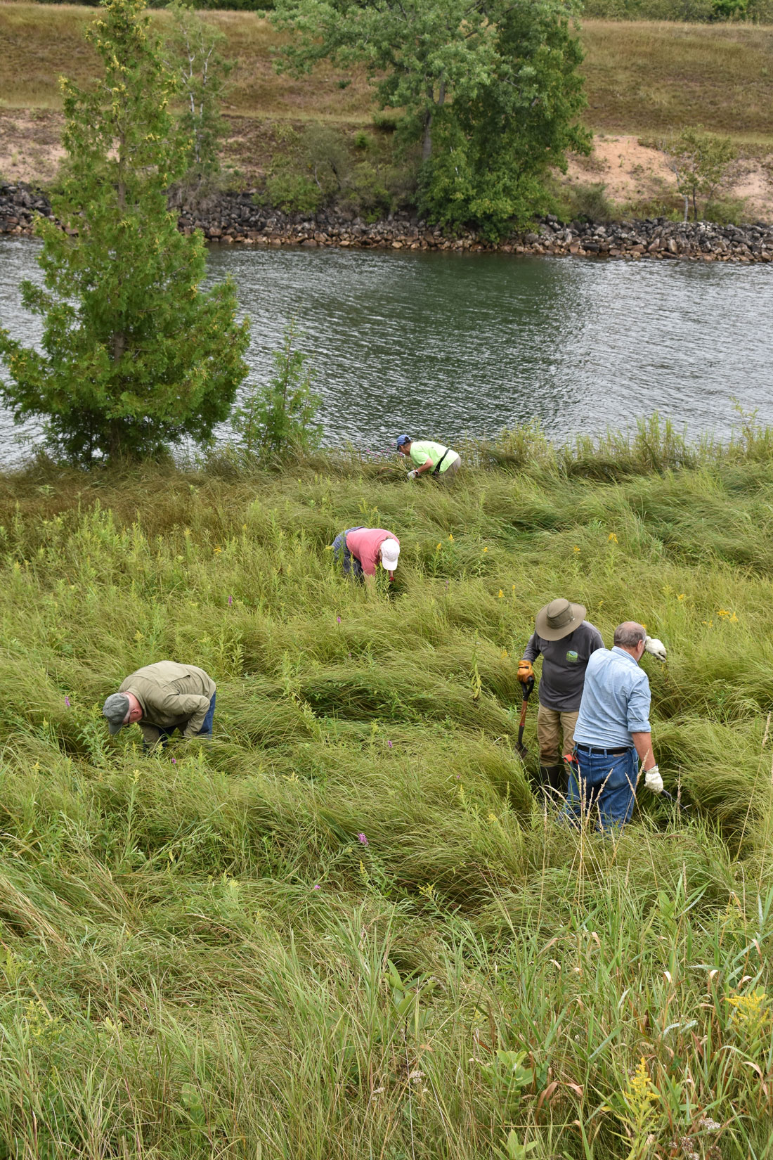 DCLT volunteers working together at a Door County preserve